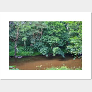 River Almond Posters and Art